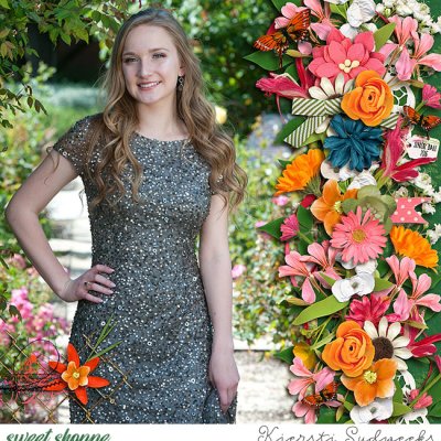 senior Ball 2016