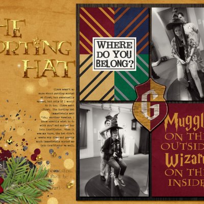 The Sorting Hat