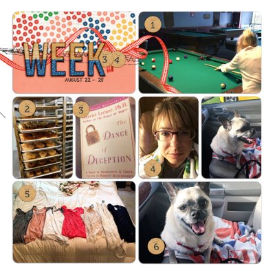 Project Life Week 34