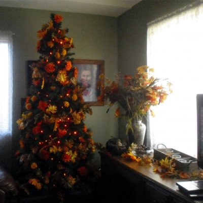 AUTUMN-TREE-_-FOOTBALL-2015