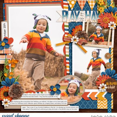 play-on-the-hay-wm