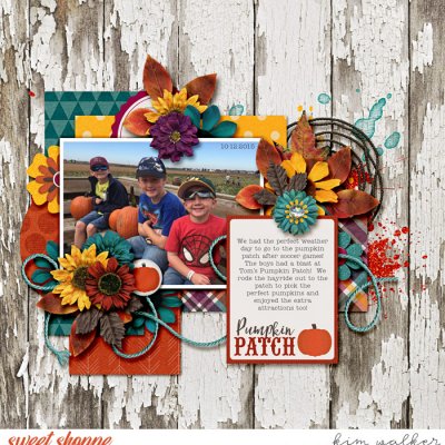 Pumpkin Patch
