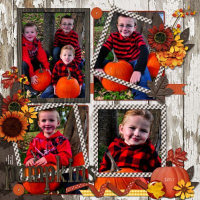 lil Pumpkins