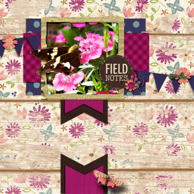 Field Notes