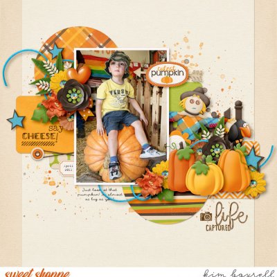 Cutest Pumpkin