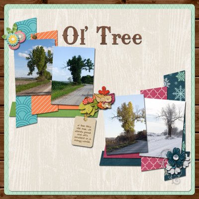 Our Ol' Tree