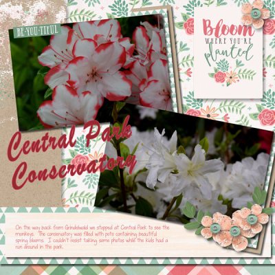 City-Park-Conservatory-001