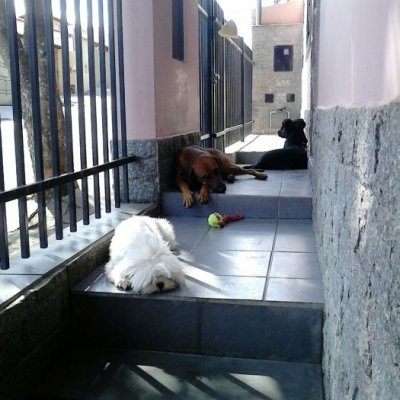 photo3