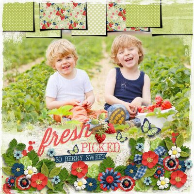 Berry Picking