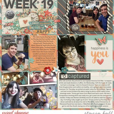 2016 Week 19 L