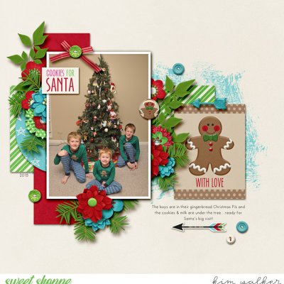 Cookies for Santa