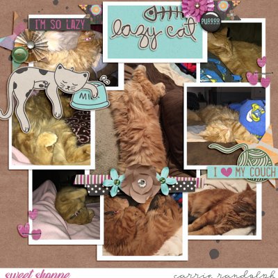 lazy cat