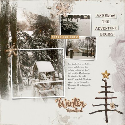 Winter Surprise