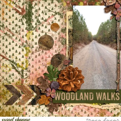 Woodland Walks