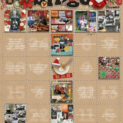 December 2016 SSD Bingo Card