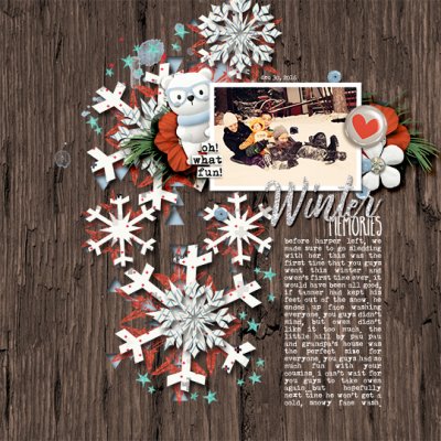 Winter Memories