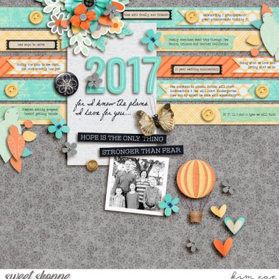 2017 Plans For You