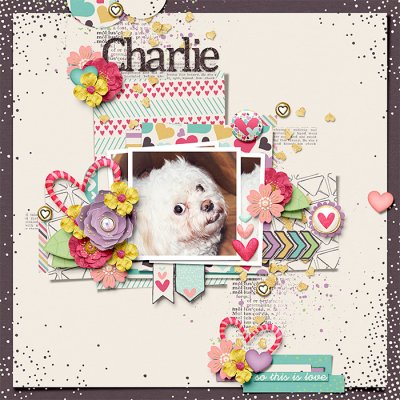 Charlie Smiles