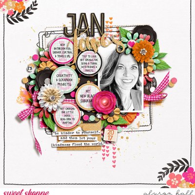 Jan Faves 2017