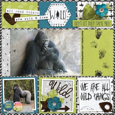 Gorilla