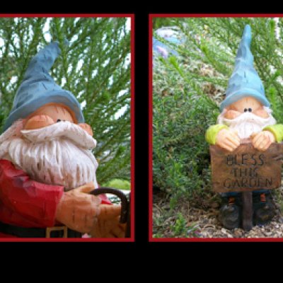 My Little Gnomes