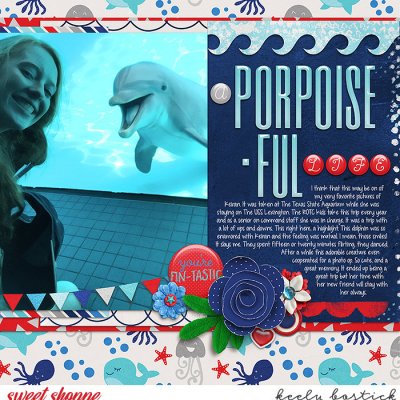 A Porpoise-ful Life