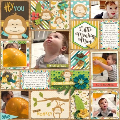 Little Monkey Man
