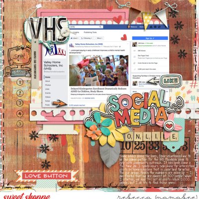 VHS Social Media