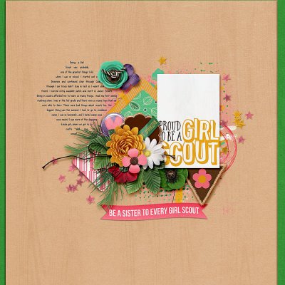 Be a Sister to Every Girl Scout