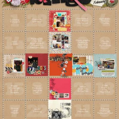 Challenge Bingo Feb 2017