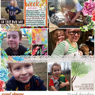 week 5