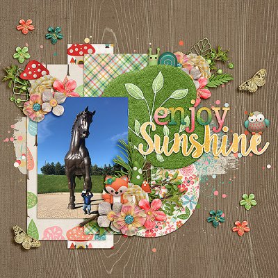 Enjoy Sunshine