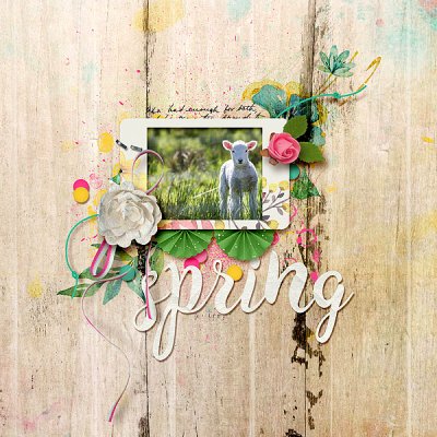 Spring