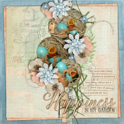 Happiness in my Garden: Baby Robins (left)