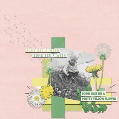dandelions