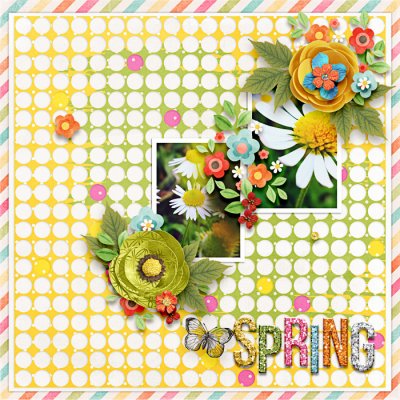 daisies