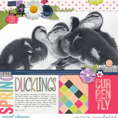 Ducklings