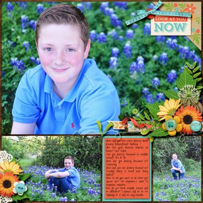 Bluebonnets left