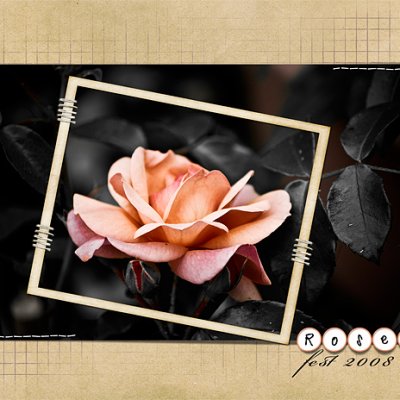 rose