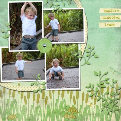 Nature boardwalk