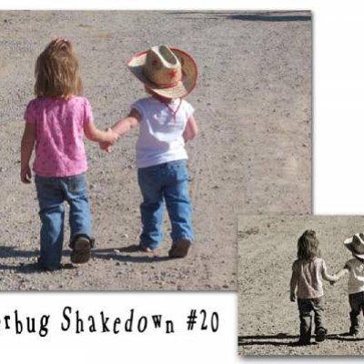 Shutterbug-_20