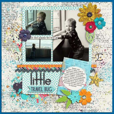 Little Travel Bug