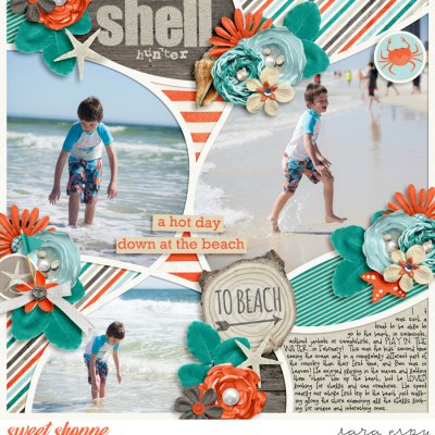 shell-hunter-wm