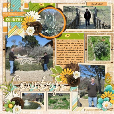 Country March 2013