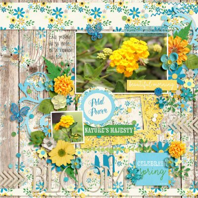 #9 in bloom