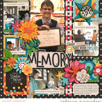 Memory Master 2017