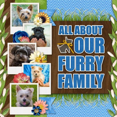 Our Furry Family title page