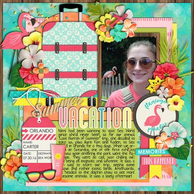 Flamingo Paradise