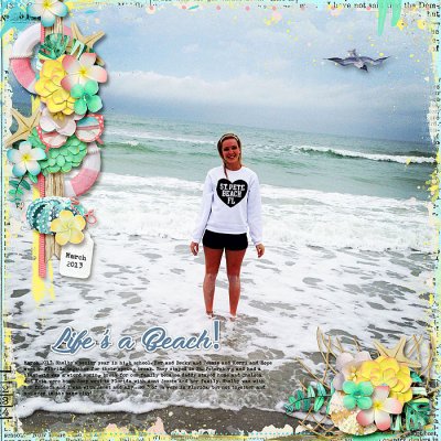 Life's a Beach