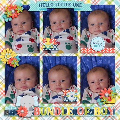 Bundle of Boy